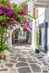 Traditional Cycladitic alley with narrow street, whitewashed facade of stores a cafe exterior and a blooming bougainvillea in Naousa  Paros island, Greece.