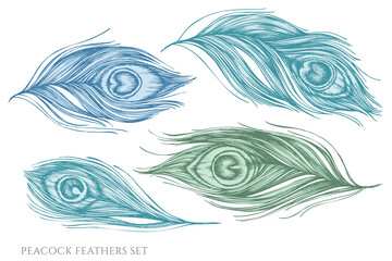 Fototapeta na wymiar Vector set of hand drawn pastel peacock feathers