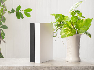 Mock up black and white book and House plant Spotted betel or Australian native monstera or devil's ivy in white vase on concrete shelf wooden background