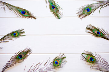 Obraz premium Peacock feathers on a white wooden background as a space for design with place for text.