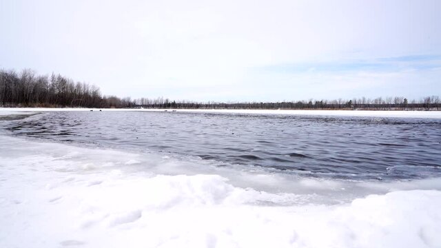 Pan shot by a frozen lake with duck