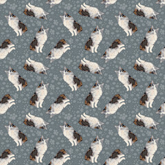 cat and paw prints illustration