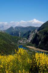 A mountain landscape with a blue river and yellow flowers. Croatia