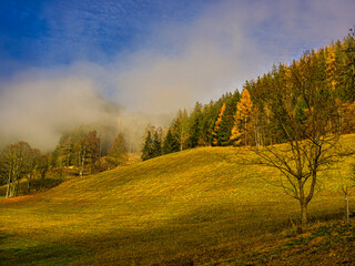 Fototapeta premium Morgennebel im Herbst
