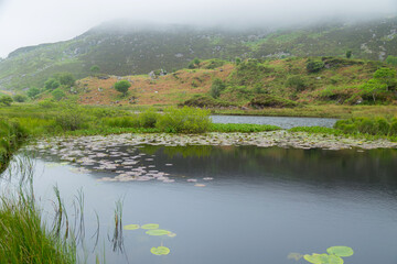 Killarney National Park