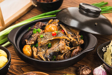 Chinese Cuisine: Braised Chestnut Turtle