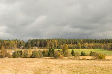 autumn landscape with trees and clouds