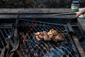Souvlakia cooked at a campsite fireplace. Dark background