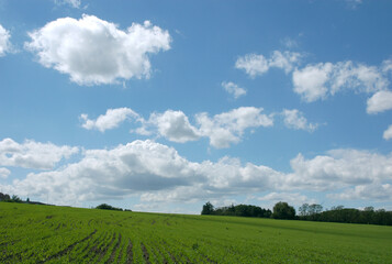 Fototapeta na wymiar White Clouds at the Blue Sky
