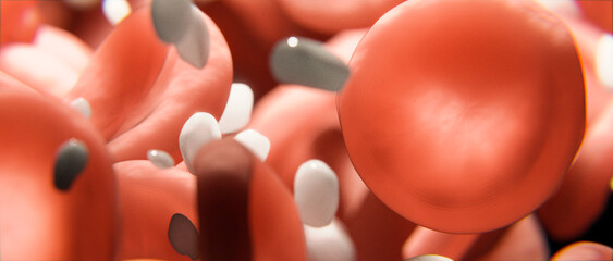 Rote und weiße Blutplättchen oder Blutzellen - 3D medizinisch korrekte Illustration