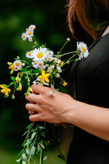 white daisy flowers yellow