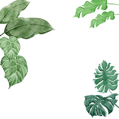 熱帯植物トロピカルフレームデコレーション