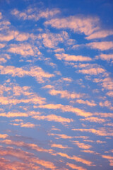 Naklejka na ściany i meble Many fluffy clouds [Cirrocumulus] on beautiful sunset sky in evening time and vertical frame