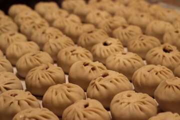 Traditional Asian Cuisine Food with Chopped Meat and Dough. Preparing Making Dumplings Close-up