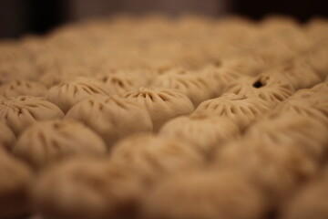 Traditional Asian Cuisine Food with Chopped Meat and Dough. Preparing Making Dumplings Close-up