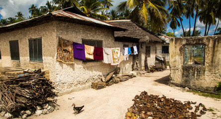 Obraz premium Jambiani, Tanzania, coconut husks set out to dry and laundry on clothesline beside a house in a residential area just off the white sand beach at Jambaiani, Zanzibar