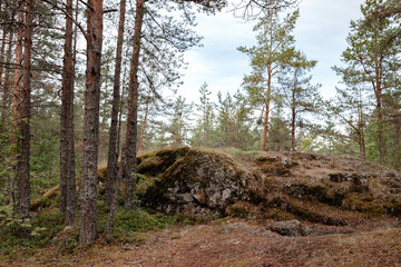 Russia, Republic of Korelia, park