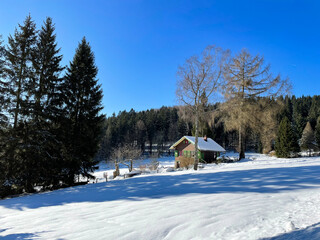 einsame Hütte im Winterwald