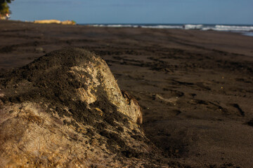 PLAYA SAN BLASS, EL SALVADOR