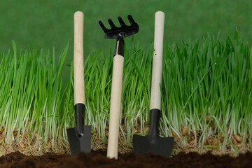 Shovels and rakes on the ground, preparing for the planting of the crop. Earth Day. Planet earth.