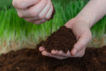 The earth in the hands of women on the background of grass. Earth Day. Planet earth.
