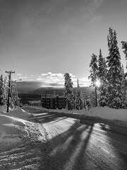 Snow White | Morning Sun