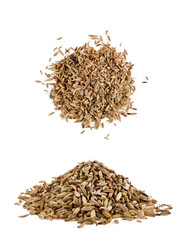 Fennel seeds isolated on a white background.