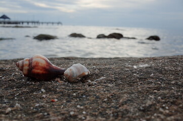 Beach, sky and sea with beautiful nature and fresh air.
