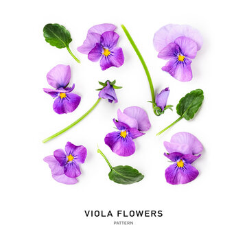 Spring viola pansy flowers creative pattern