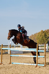 Young horsewoman on brown horse overcomes an obstacle outdoors, copy space. Equestrian sport,...