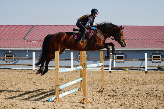 Young horsewoman on brown horse overcomes an obstacle outdoors, copy space. Equestrian sport, jumping.
