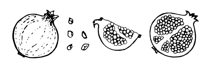 Pomegranate doodle drawings. Set of pomegranate's inner, outer sides, slice and seeds. Vector illustration isolated on a white background
