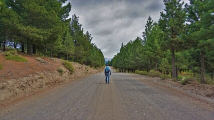 Hombre de espaldas caminando por sendero rodeado de pinos con un cielo nublado
