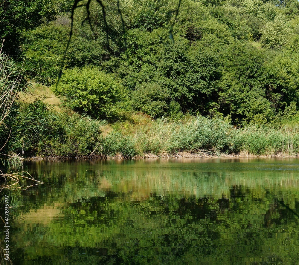 Poster lake in the forest