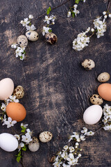 Chicken and quail eggs with blooming branch