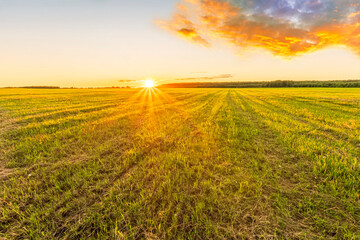 Scenic view at beautiful spring sunset in a green shiny field with green grass and golden sun rays, deep blue cloudy sky on a background , forest and country road, summer valley landscape