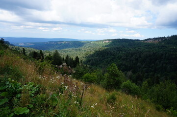 landscape in the mountains
