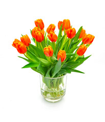 Blumenstrauss aus roten Tulpen auf weissem Hintergrund