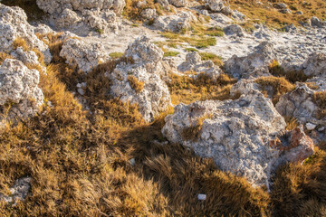 Rocas y hierba