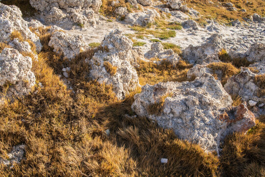 Rasposo Images – Browse 33 Stock Photos, Vectors, and Video | Adobe Stock