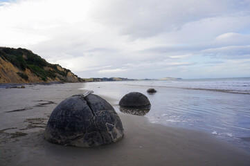 The Moeraki Boulders are unique large round stones lying along of Koekohe Beach in New Zealand