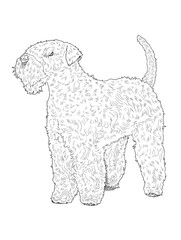 Soft Coated Wheaten Terrier Dog Line Art Illustration for Coloring