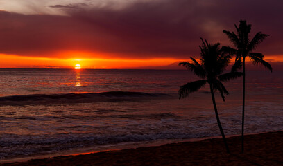 Sunset over ocean with palm trees silhouette.