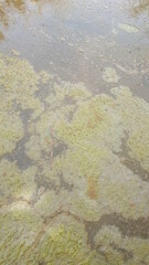 water in the river