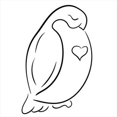 Bullfinch on a white background. Vector illustration. Black and white drawing of a Bullfinch.