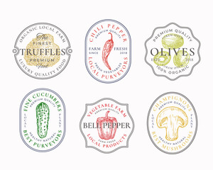 Vegetables and Mushrooms Frame Badges or Logo Templates Collection. Hand Drawn Olives, Truffles, Pickle, Bell and Chili Pepper Sketches with Typography and Borders. Premium Emblems Set. Isolated