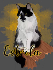 Ilustração digital gato