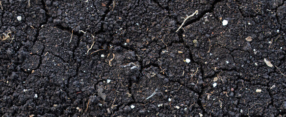 asphalt texture background