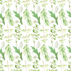 Seamless herbal pattern with watercolor green flavouring dill, parsley, arugula, rosemary