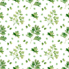 Seamless herbal pattern with watercolor green flavouring parsley